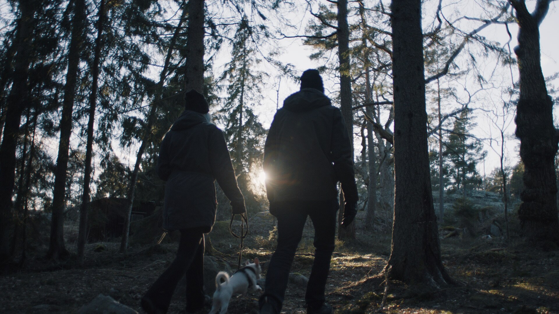 Phase out harmful gasses